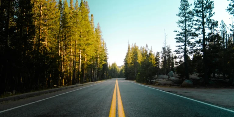 Open highway road through forest representing E85 flex fuel vehicle journey